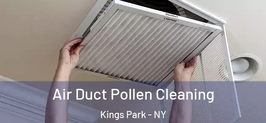 Air Duct Pollen Cleaning Kings Park - NY