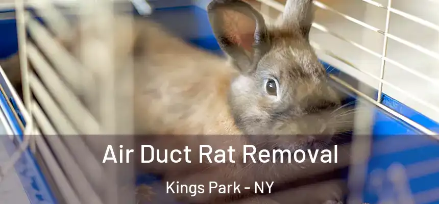 Air Duct Rat Removal Kings Park - NY