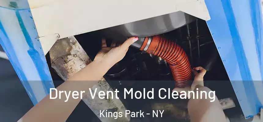  Dryer Vent Mold Cleaning Kings Park - NY