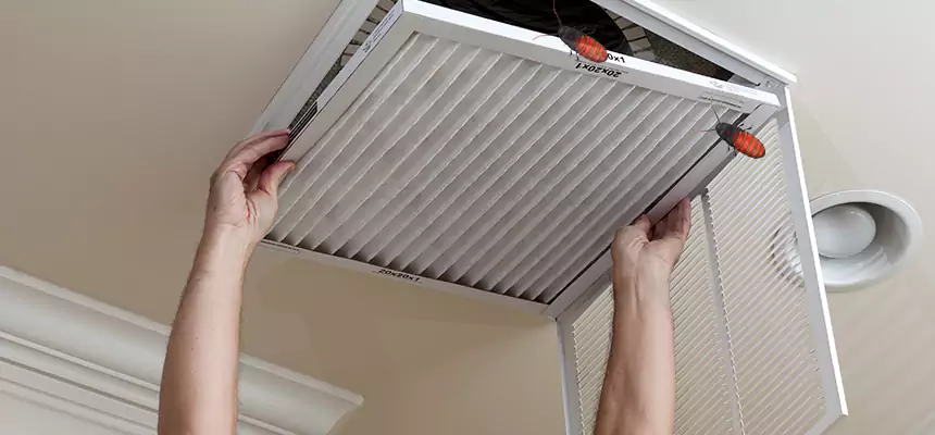 Preventive Cockroach-Proofing for Ducts in Kings Park