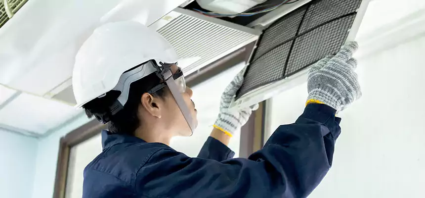 Our Mold & Mildew Removal from Air Ducts Services in Kings Park, NY