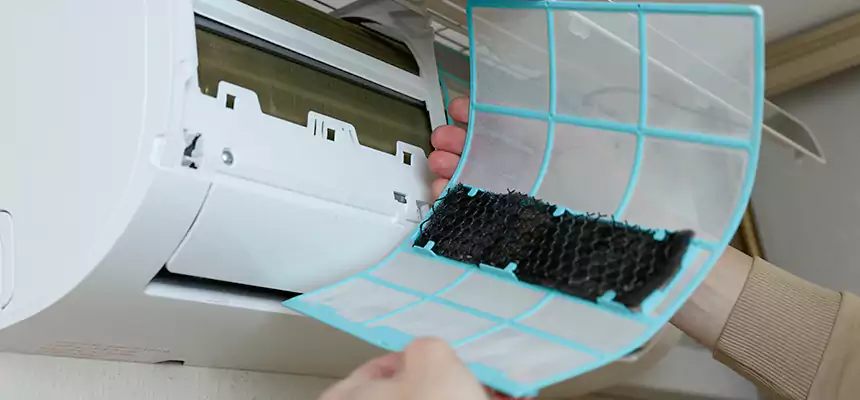 Gentle Ductwork Odor-Control Pet Dander Duct Cleaning in Kings Park, NY