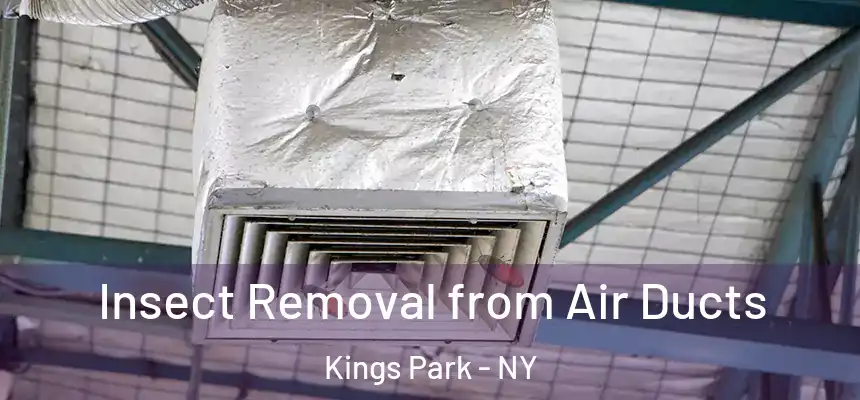 Insect Removal from Air Ducts Kings Park - NY