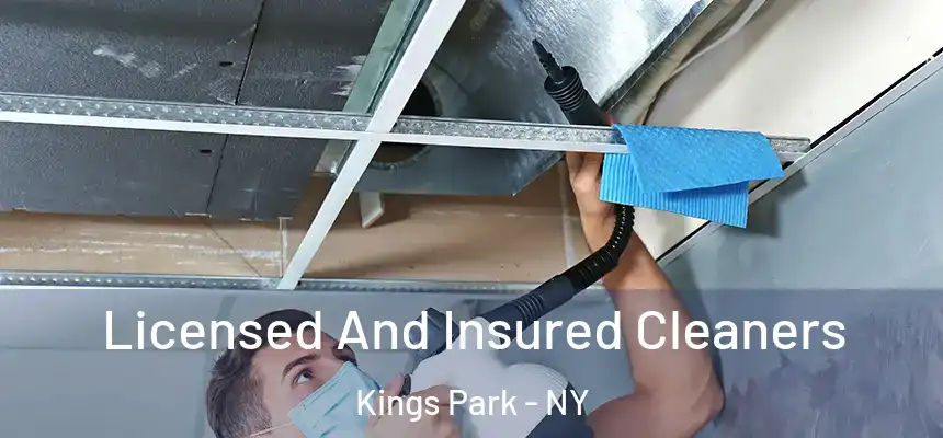 Licensed And Insured Cleaners Kings Park - NY