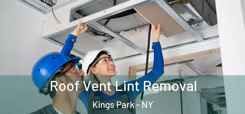 Roof Vent Lint Removal Kings Park - NY