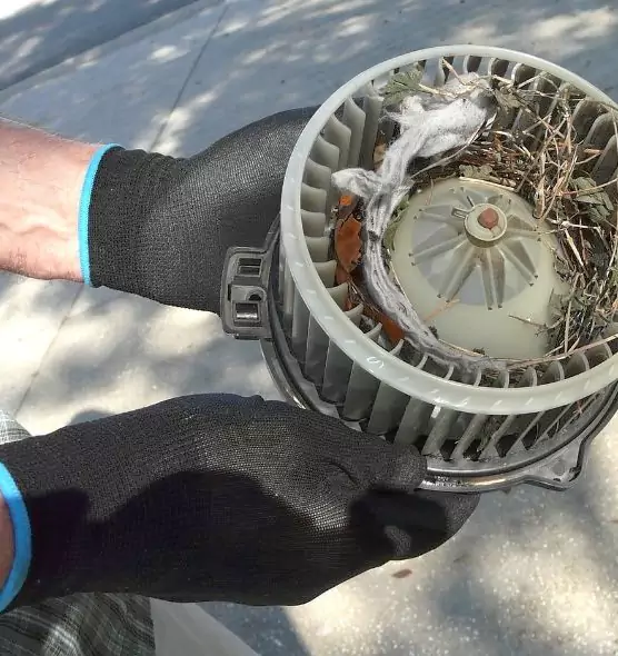 About Air Duct Rat Removal in Kings Park, NY