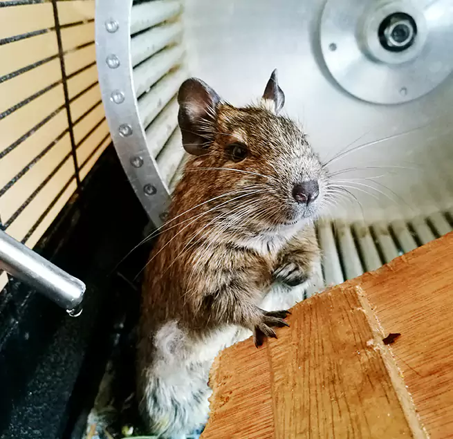 Why Homeowners & Businesses Trust Us Kings Park, NY