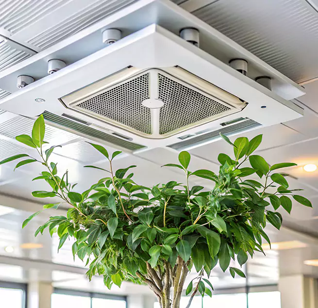 Why Homeowners & Businesses Trust Us in Kings Park, NY?