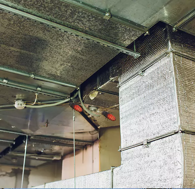 Why Homeowners & Businesses Trust Us Kings Park, NY?